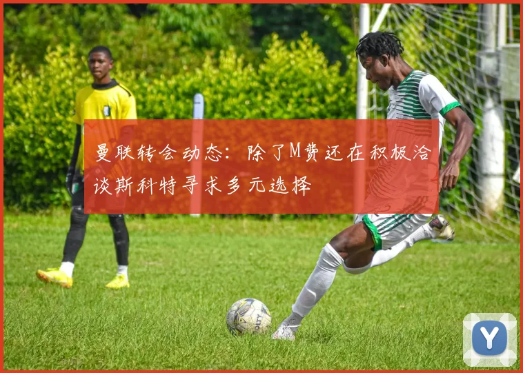 曼联转会动态：除了M费还在积极洽谈斯科特寻求多元选择